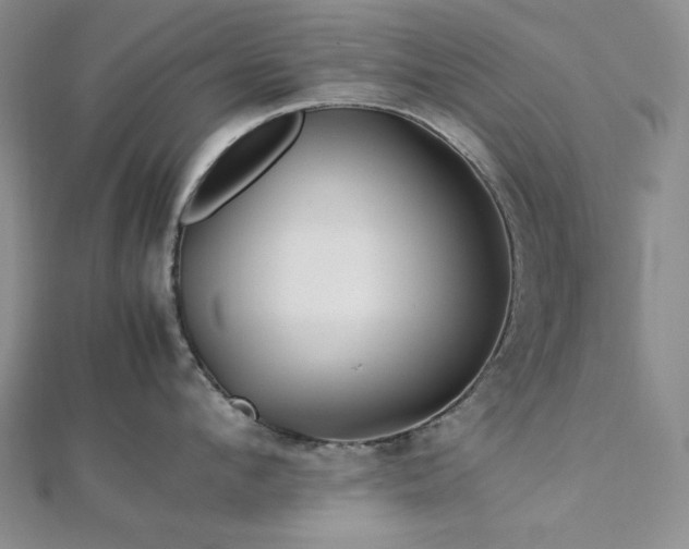 X0000113010912200908271406