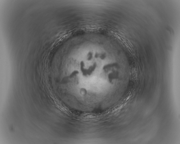 X0000113010913200908271405