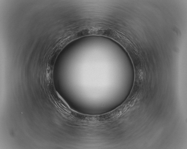 X0000113010914200908271405