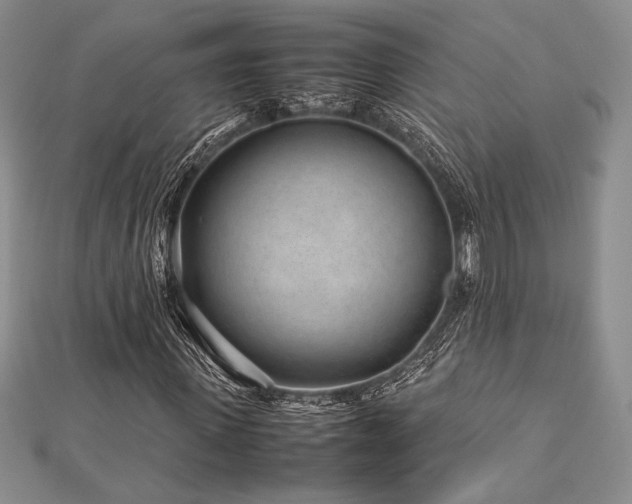 X0000113010915200908271405