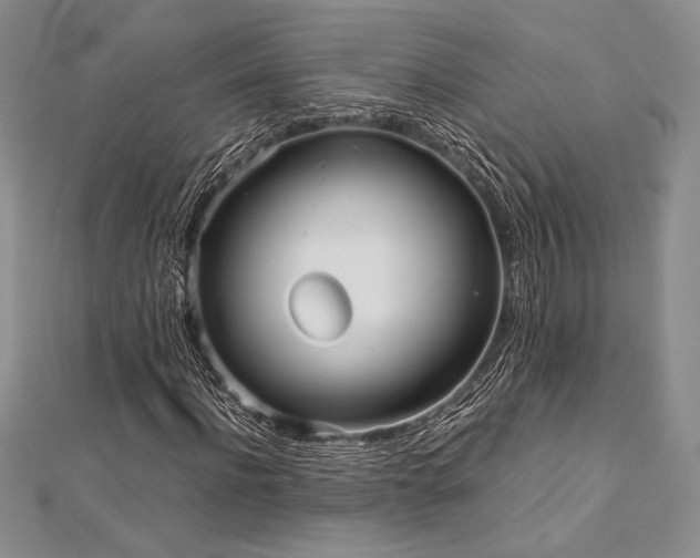 X0000113010916200908271405