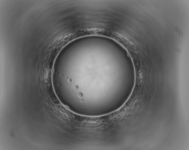 X0000113010917200908271405