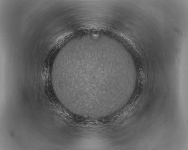 X0000113010918200908271405