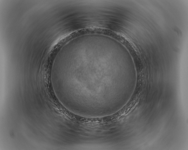 X0000113010919200908271405