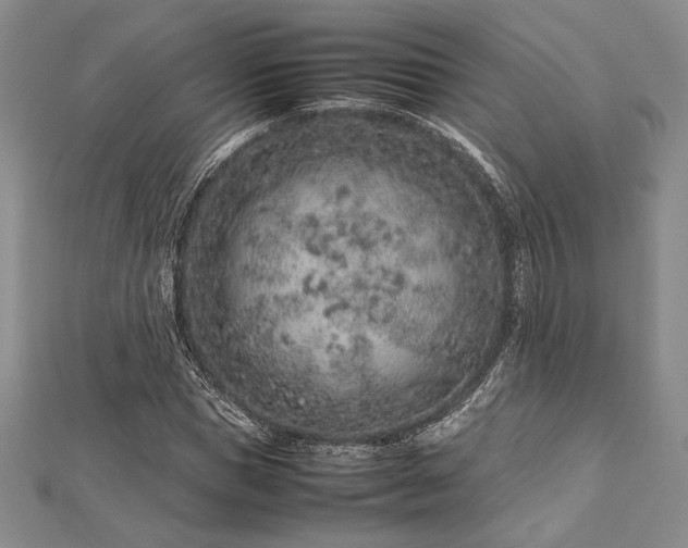 X0000113010921200908271405