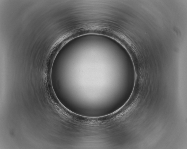 X0000113010922200908271405