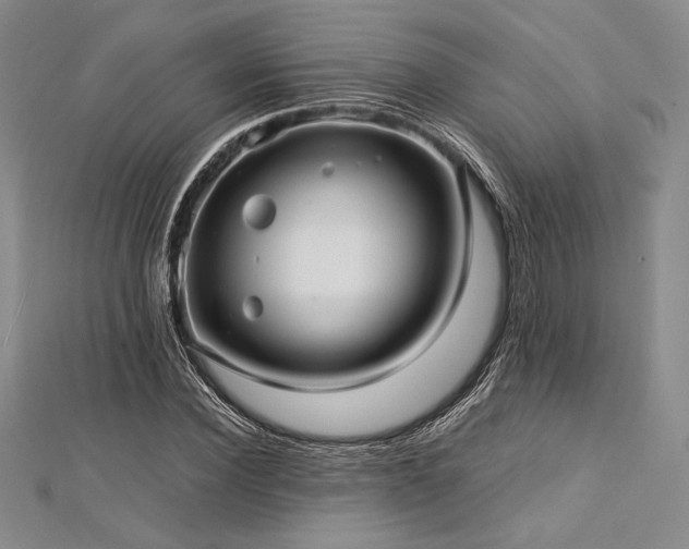 X0000113010924200908271405