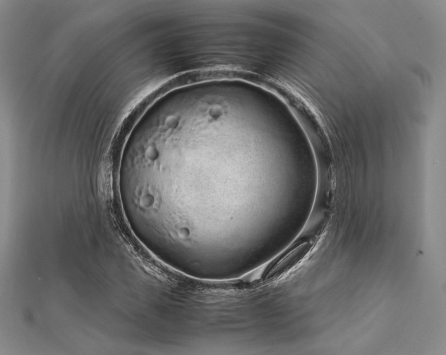 X0000113010925200908271405