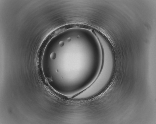 X0000113010926200908271405