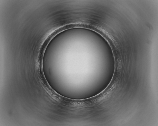 X0000113010927200908271405