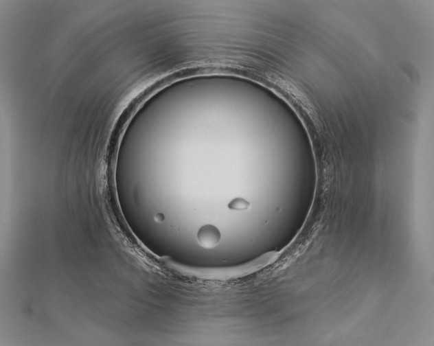 X0000113010928200908271405