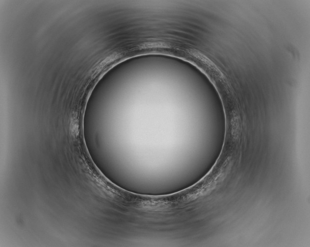 X0000113010929200908271405