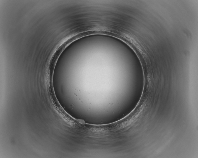 X0000113010931200908271405