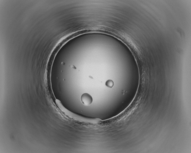 X0000113010932200908271405