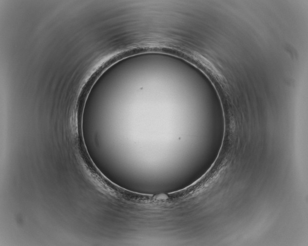 X0000113010934200908271405