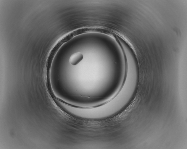 X0000113010935200908271405