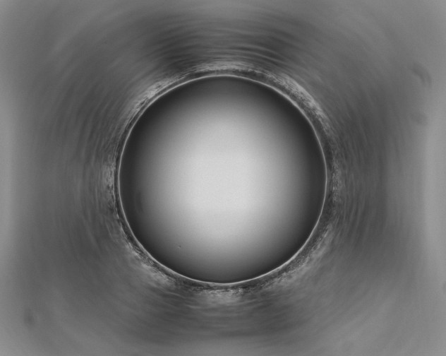 X0000113010937200908271406