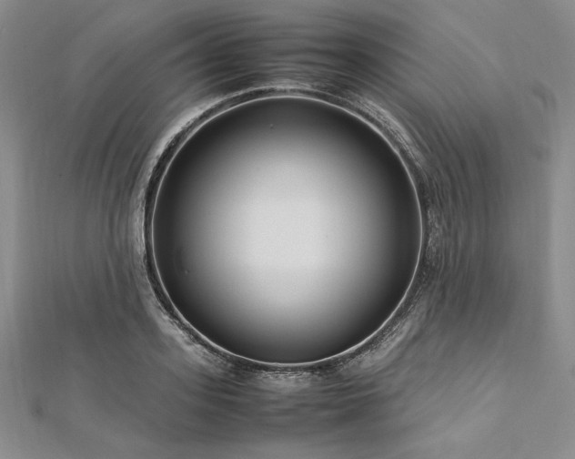 X0000113010939200908271406