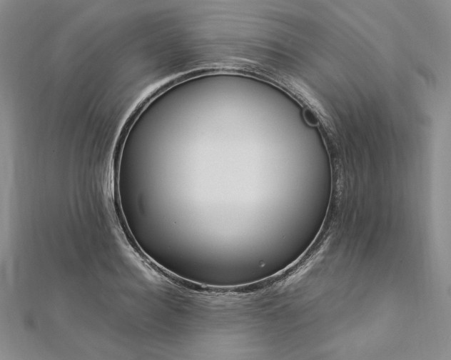 X0000113010940200908271406