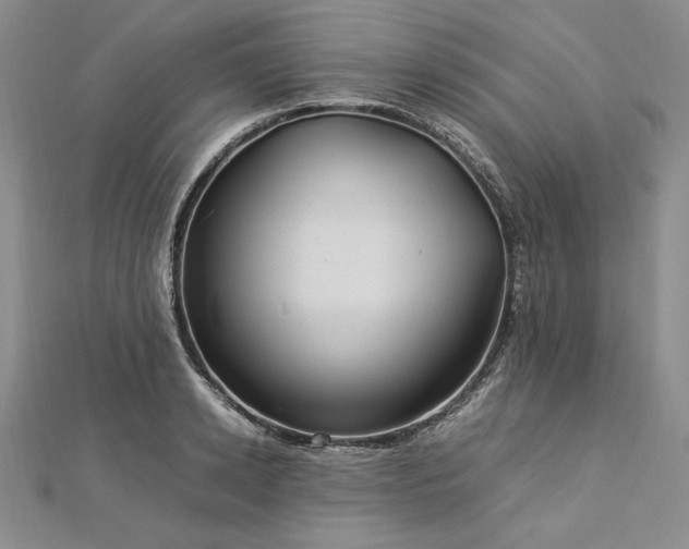 X0000113010942200908271406