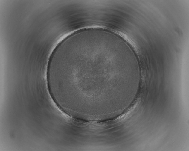 X0000113010943200908271406