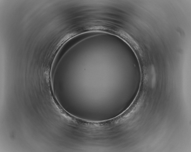 X0000113010945200908271406