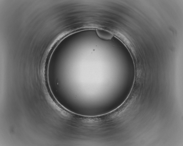 X0000113010947200908271406