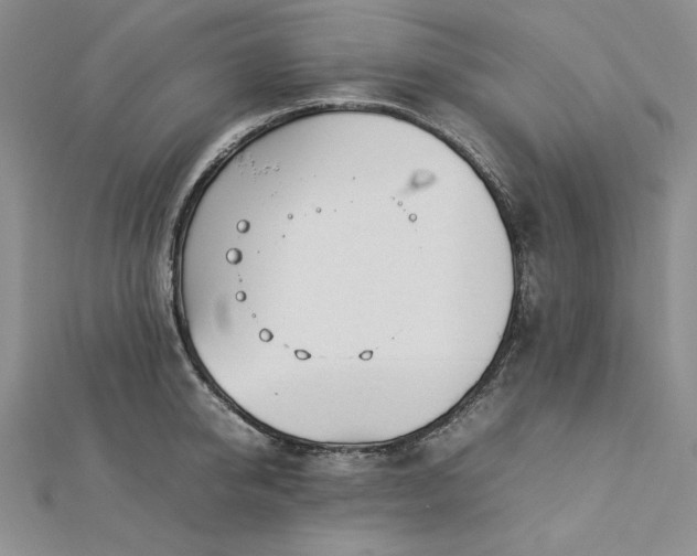 X0000113010950200908271406