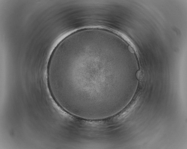 X0000113010951200908271406