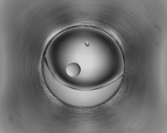 X0000113010952200908271406