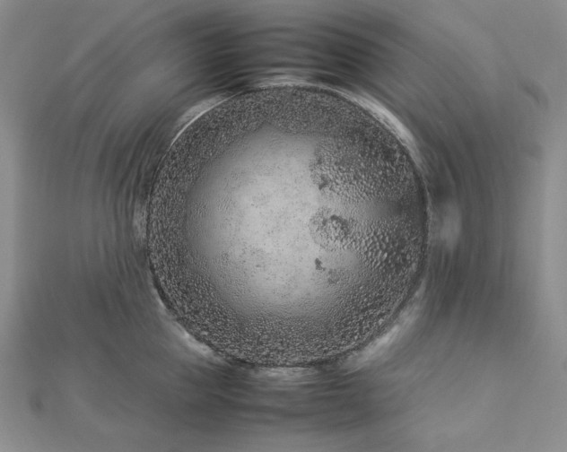 X0000113010953200908271406