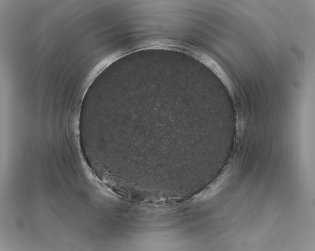 X0000113010954200908271406