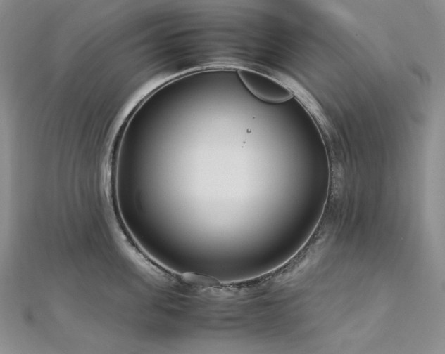 X0000113010955200908271406