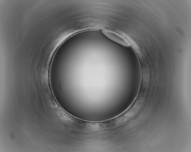 X0000113010956200908271406