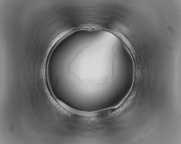 X0000113010957200908271406