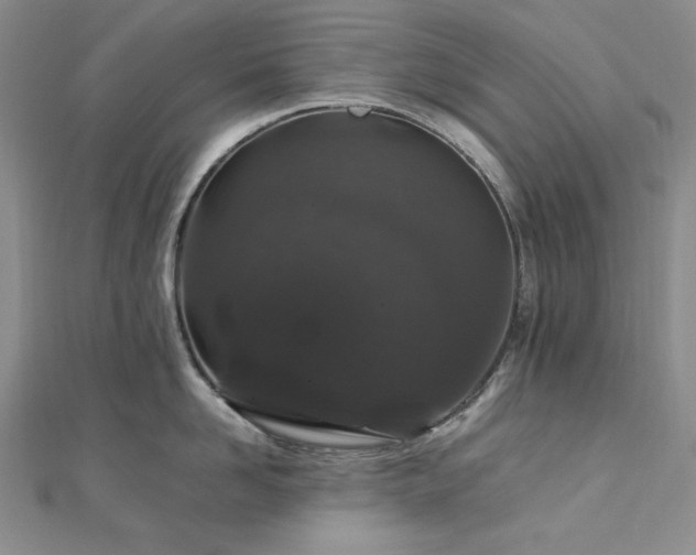 X0000113010958200908271406