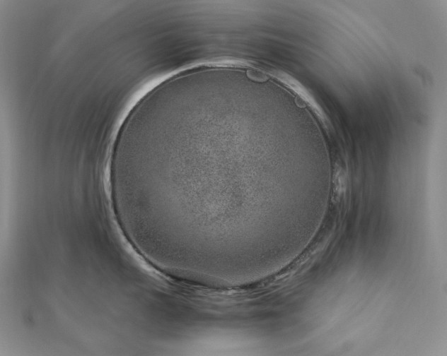 X0000113010959200908271406