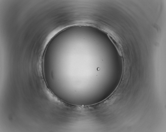 X0000113010960200908271406