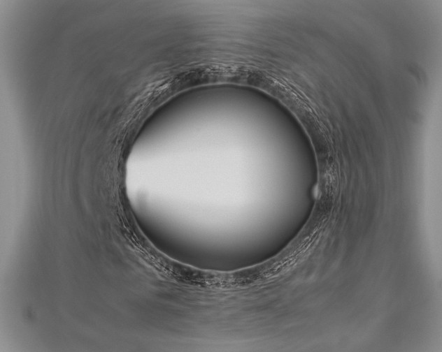 X0000113010961200908271405