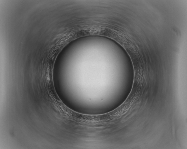 X0000113010962200908271405