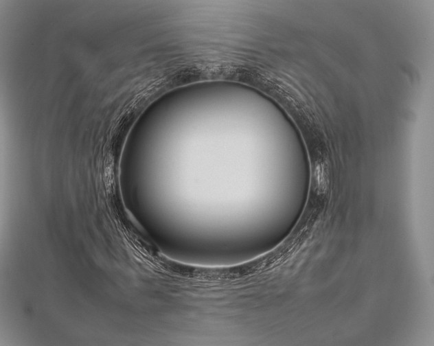 X0000113010963200908271405