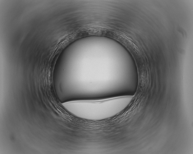 X0000113010964200908271405