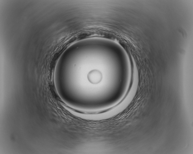 X0000113010965200908271405