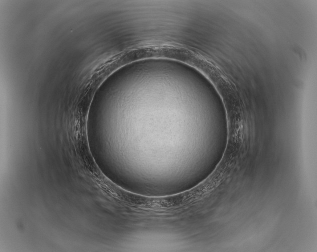 X0000113010966200908271405