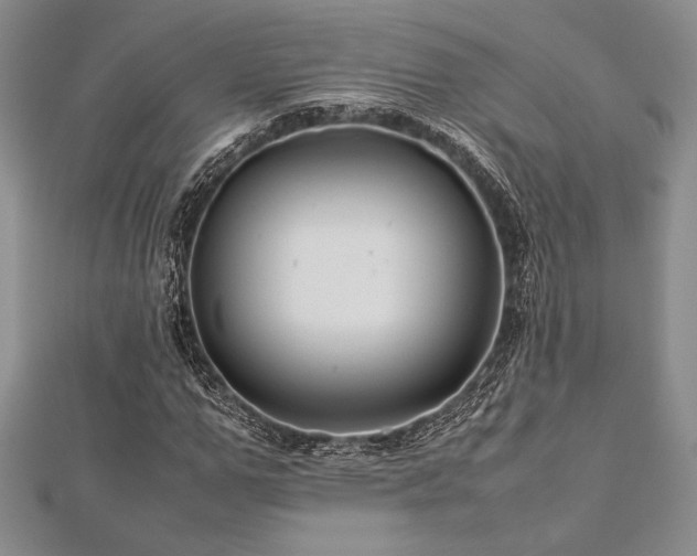 X0000113010967200908271405