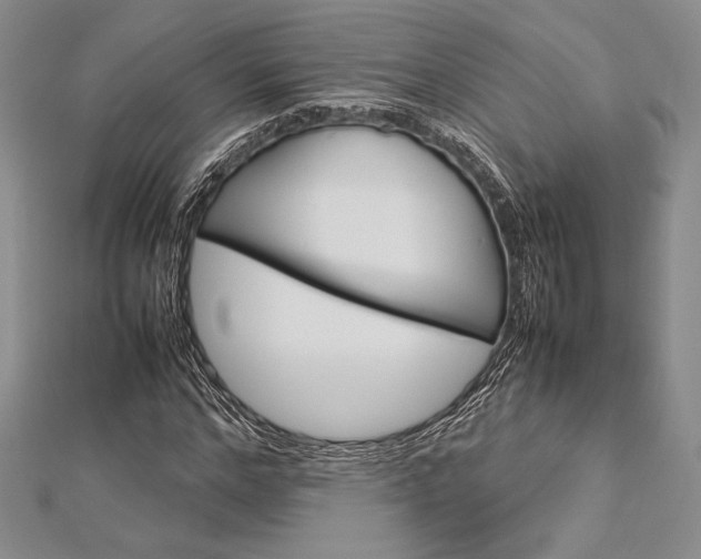 X0000113010968200908271405