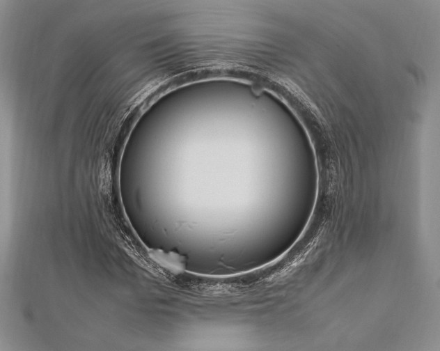 X0000113010969200908271405