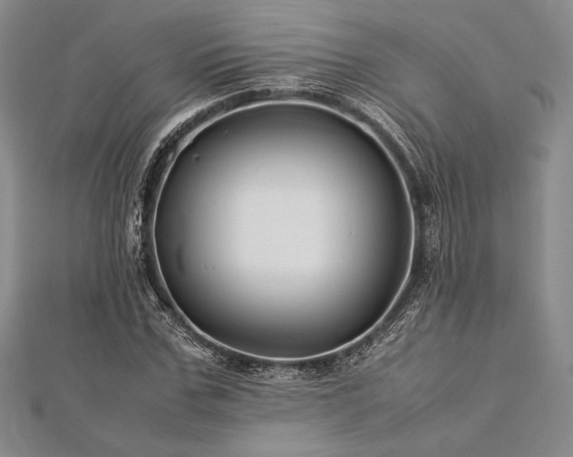 X0000113010971200908271405