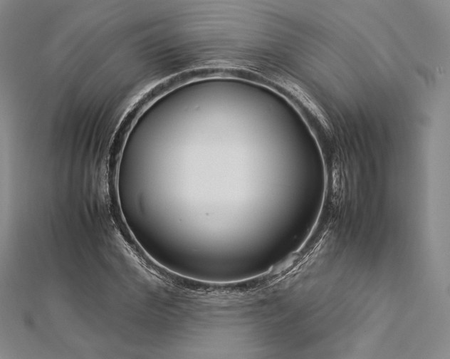 X0000113010972200908271405