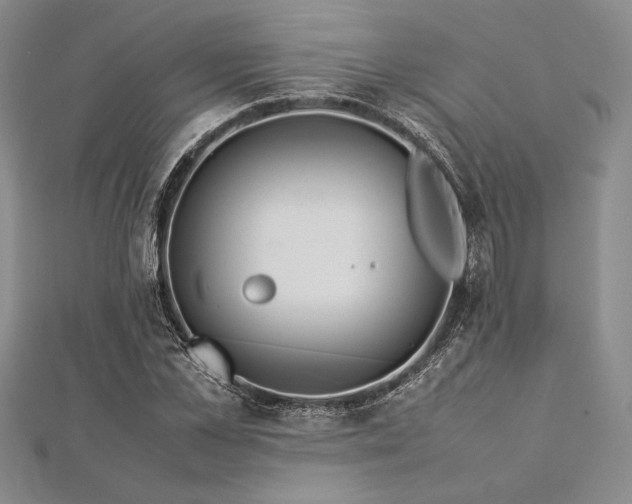 X0000113010973200908271405